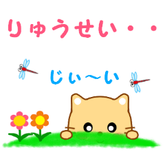 [LINEスタンプ] りゅうせいに送信する用スタンプ