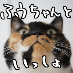 [LINEスタンプ] ふうちゃんといっしょ