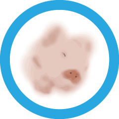 [LINEスタンプ] Watercolor Piggyの画像（メイン）