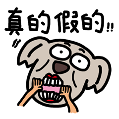 [LINEスタンプ] Mommy Koala Christy 's Happy life 2