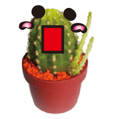 [LINEスタンプ] cactus of the emotions