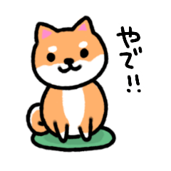 [LINEスタンプ] 大阪弁の柴犬さんの画像（メイン）