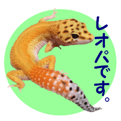 [LINEスタンプ] うちの子レオパ。の画像（メイン）