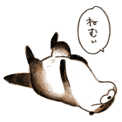 [LINEスタンプ] カワウソくん 40個