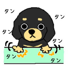 [LINEスタンプ] ブラックタンの子犬