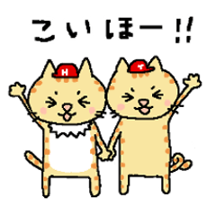 [LINEスタンプ] 赤ヘル猫のヒナチロ（広島弁Ver.）