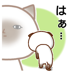 [LINEスタンプ] 乾いた目をしている猫の画像（メイン）