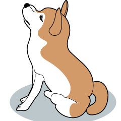 [LINEスタンプ] リアルな柴犬の日常