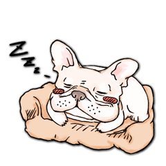 [LINEスタンプ] フレンチ ブルドッグ NUNU ver.1