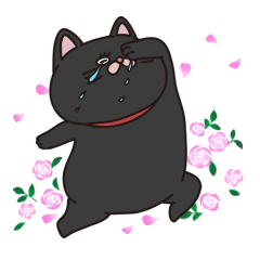 [LINEスタンプ] たのしい黒猫 英語と日本語の画像（メイン）