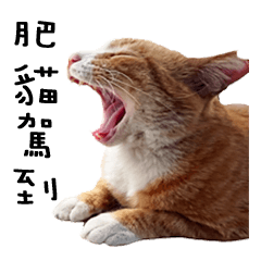 [LINEスタンプ] Fat Cat Save World