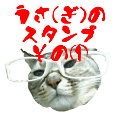 [LINEスタンプ] 無口な猫 うさ(ぎ)のスタンプ その①