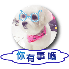 [LINEスタンプ] Hi amuse dog