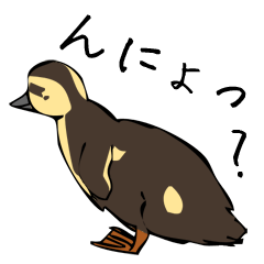 [LINEスタンプ] 隣のカルガモさん