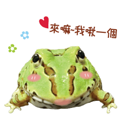 [LINEスタンプ] little jinbao