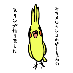 [LINEスタンプ] オカメなインコのぴーちゃんの日常