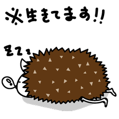 [LINEスタンプ] トゲトゲはりねずみのジジ