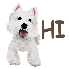 [LINEスタンプ] westie QQ-White Terrier part 1