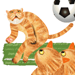 [LINEスタンプ] 猫サッカーの画像（メイン）