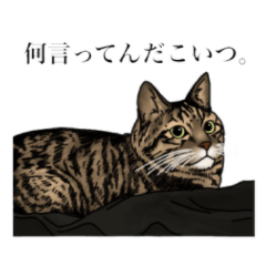 [LINEスタンプ] テンスタンプ