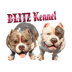 [LINEスタンプ] BLITZ Kennel