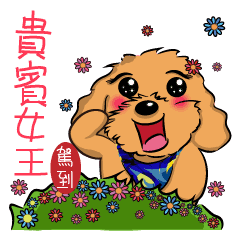 [LINEスタンプ] Poodle Queen2_a cute little girl