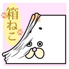 [LINEスタンプ] 箱ねこ 〜box in the cat〜