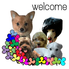 [LINEスタンプ] All about dogs loverの画像（メイン）