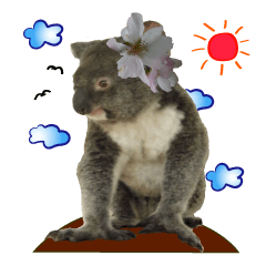 [LINEスタンプ] Koala's Daily talk (Chinese Version)の画像（メイン）