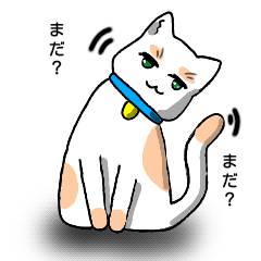 [LINEスタンプ] ねこのまゆげ