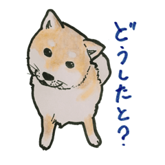 [LINEスタンプ] Kitakyusyu animals