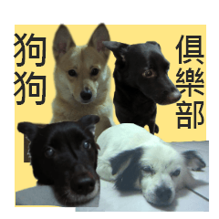 [LINEスタンプ] Happy Dogs Club:Real