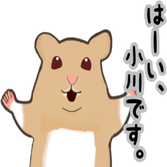 [LINEスタンプ] 小川さんのためのハムスタースタンプ