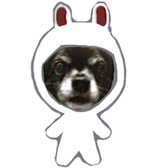 [LINEスタンプ] 名犬 ロク 3