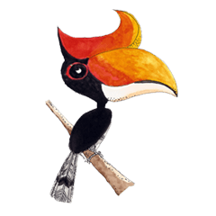 [LINEスタンプ] Picky Hornbill