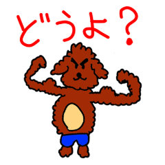 [LINEスタンプ] トイプーのアレンとノアの日常だワン