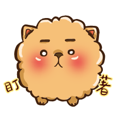 [LINEスタンプ] Little crazy Pomeranian ballbe