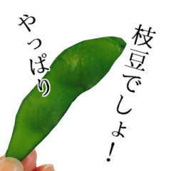 [LINEスタンプ] とりあえず枝豆の画像（メイン）