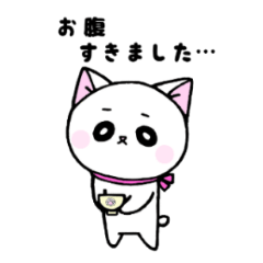 [LINEスタンプ] 白ねこハムハムの日常