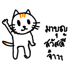 [LINEスタンプ] cat cat by linen