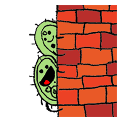 [LINEスタンプ] The Bacteria Brothers