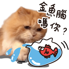 [LINEスタンプ] Choco cat