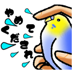 [LINEスタンプ] Picasso of the parakeet 2