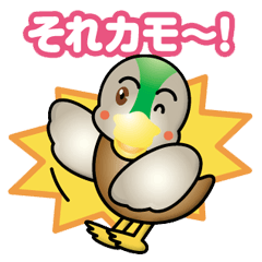 [LINEスタンプ] そうなのカモ