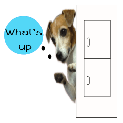 [LINEスタンプ] TUNA (Jack Russell Terrier)