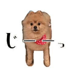 [LINEスタンプ] だいすき むっく♡