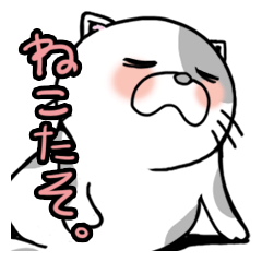 [LINEスタンプ] ねこたそ。のよく使うの