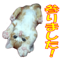 [LINEスタンプ] 我輩の名はメイプル