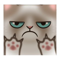 [LINEスタンプ] いたずら猫 100%