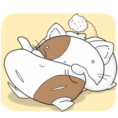 [LINEスタンプ] 仲良しコロにゃんこ